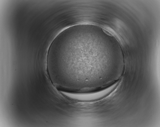 X0000088751244200706071714