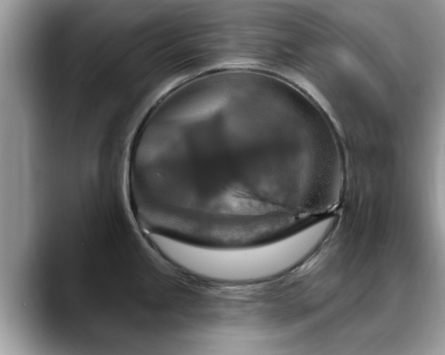 X0000088751245200706071714