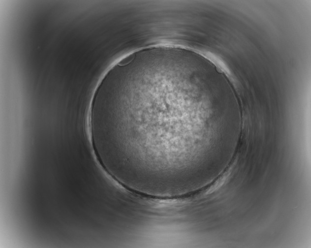 X0000088751247200706071714