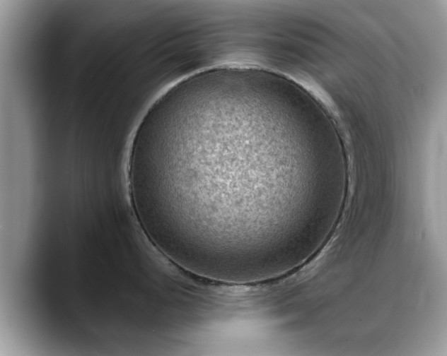 X0000088751248200706071714