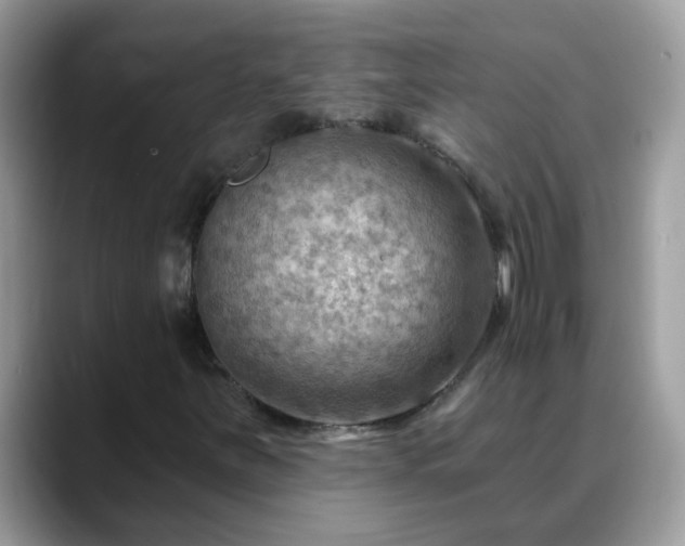 X0000088751251200706071713