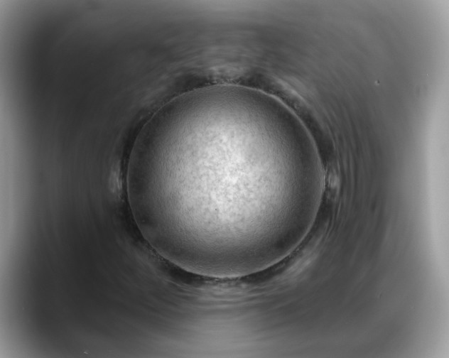 X0000088751252200706071713