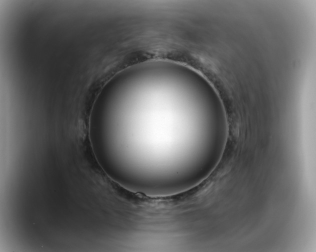 X0000088751253200706071713