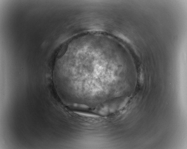 X0000088751255200706071713
