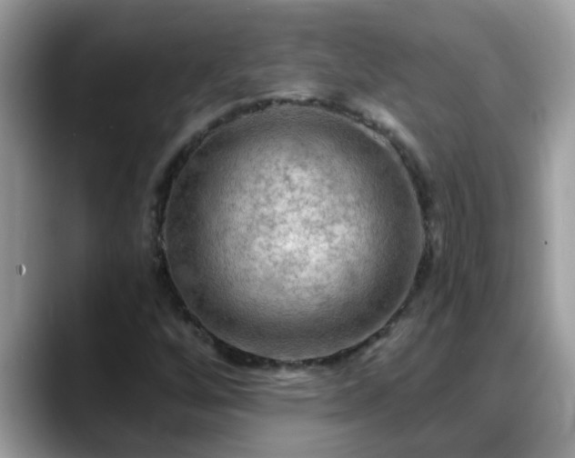 X0000088751256200706071713