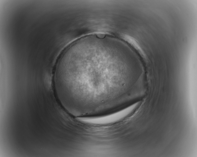 X0000088751260200706071713