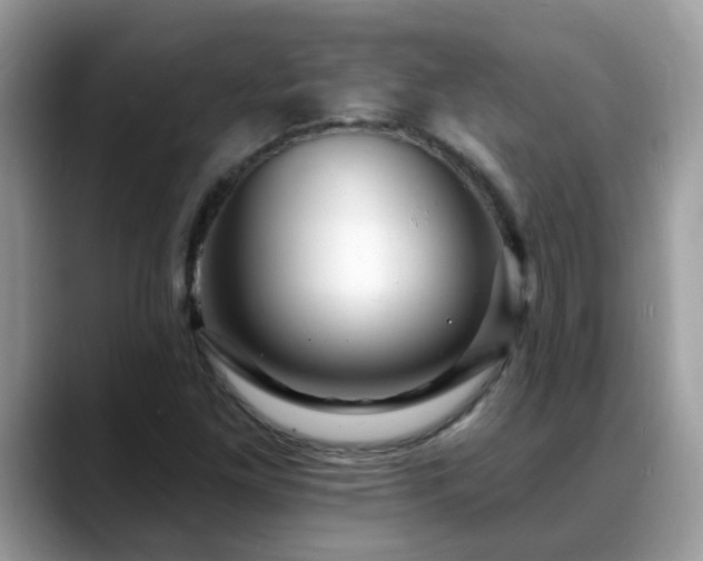 X0000088751261200706071713