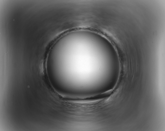 X0000088751262200706071713