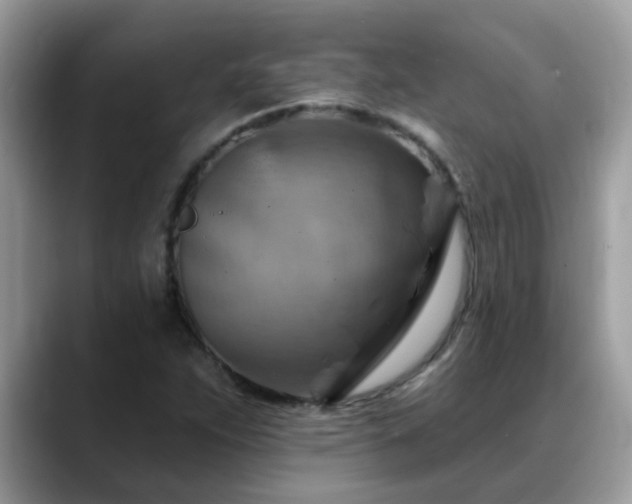 X0000088751263200706071713