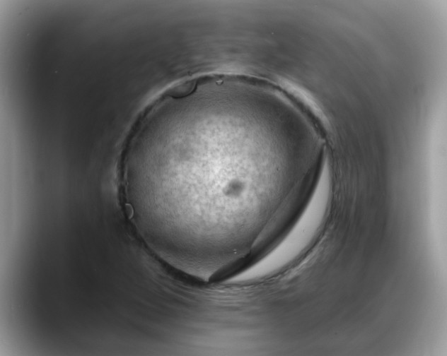 X0000088751264200706071713