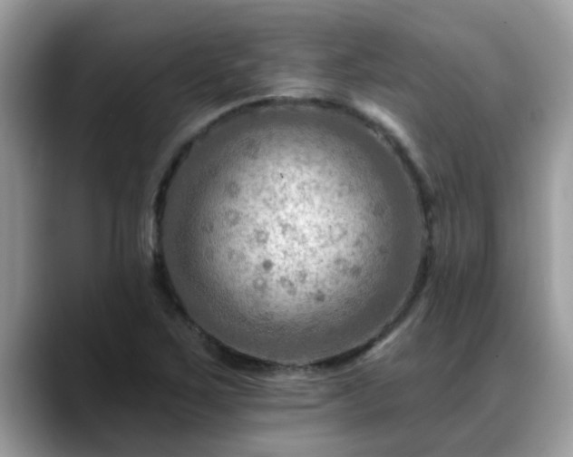X0000088751267200706071713