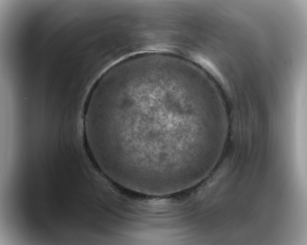 X0000088751268200706071713