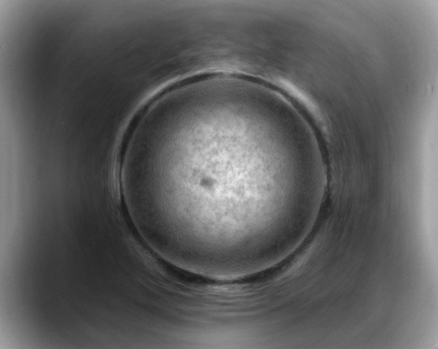 X0000088751272200706071713