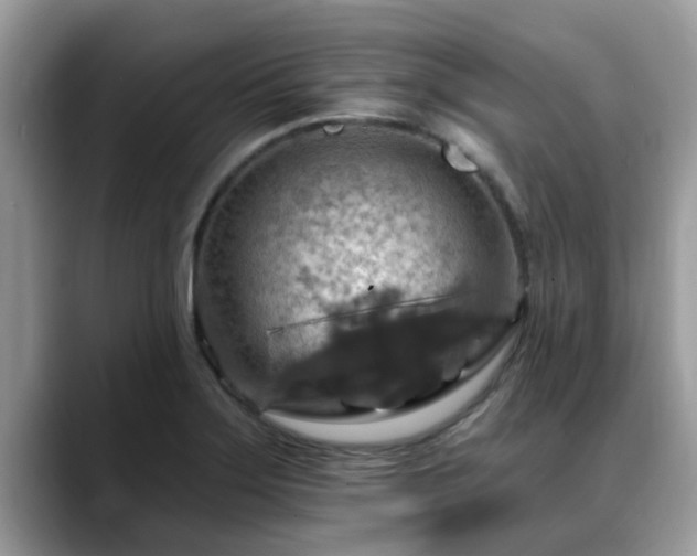X0000088751275200706071713