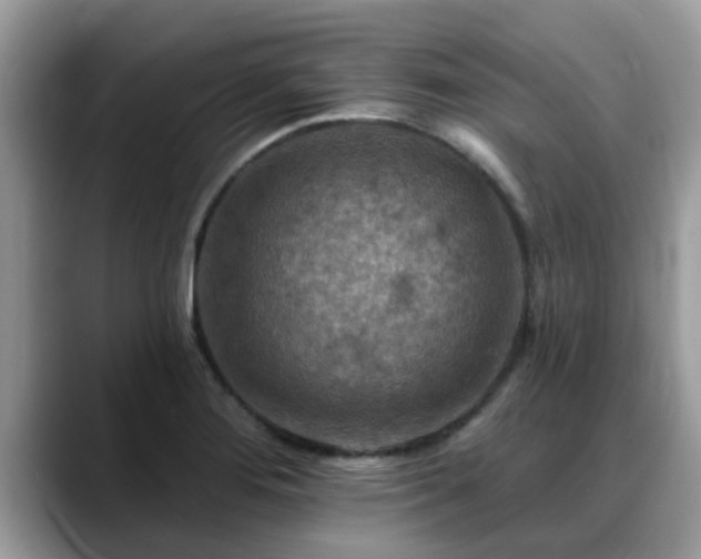X0000088751276200706071713