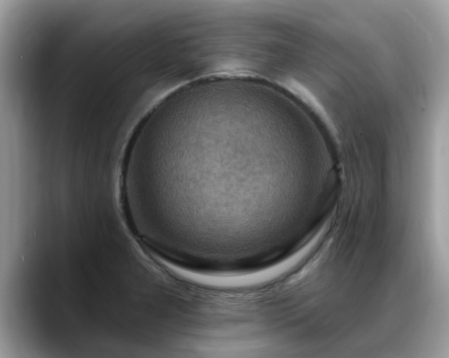 X0000088751277200706071713
