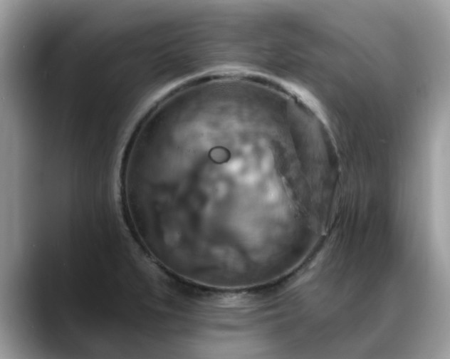 X0000088751279200706071713