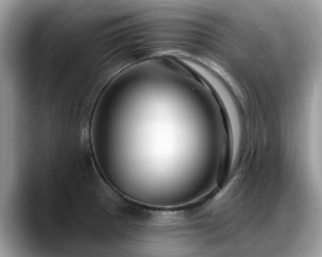 X0000088751281200706071713