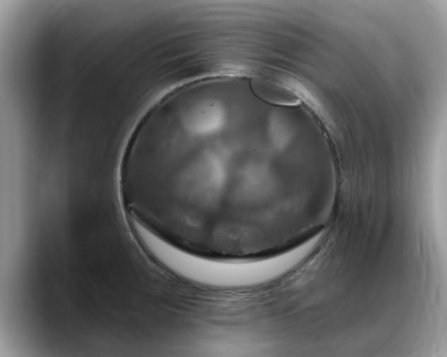 X0000088751283200706071713