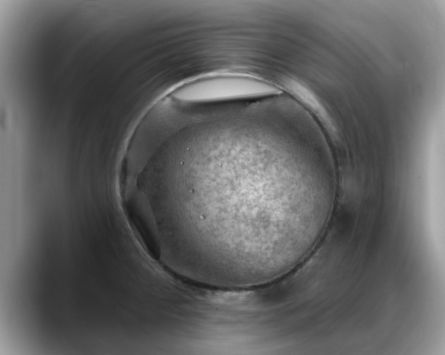 X0000088751284200706071713
