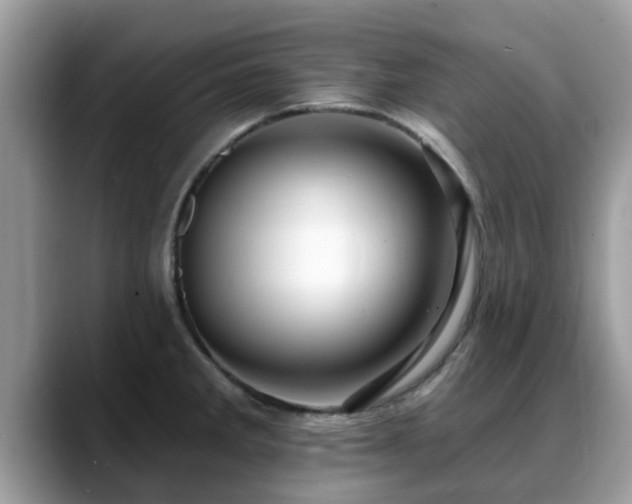 X0000088751285200706071713