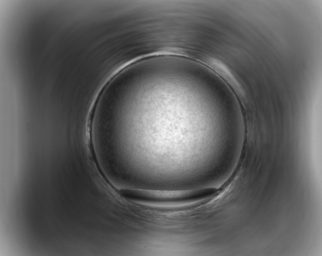 X0000088751292200706071713