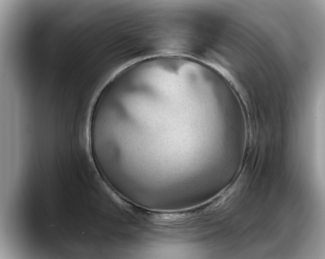 X0000088751294200706071713