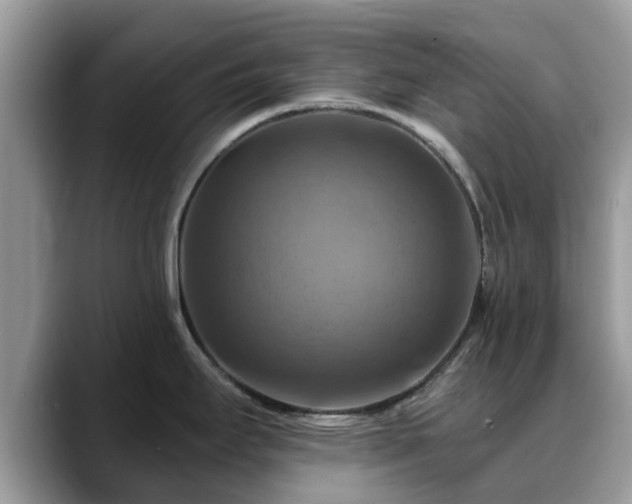 X0000088751295200706071713