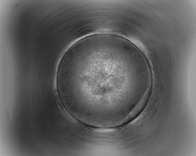 X0000088751296200706071713
