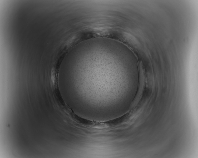 X0000088751298200706071712