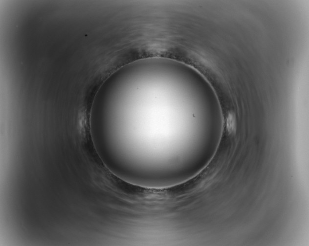 X0000088751299200706071712