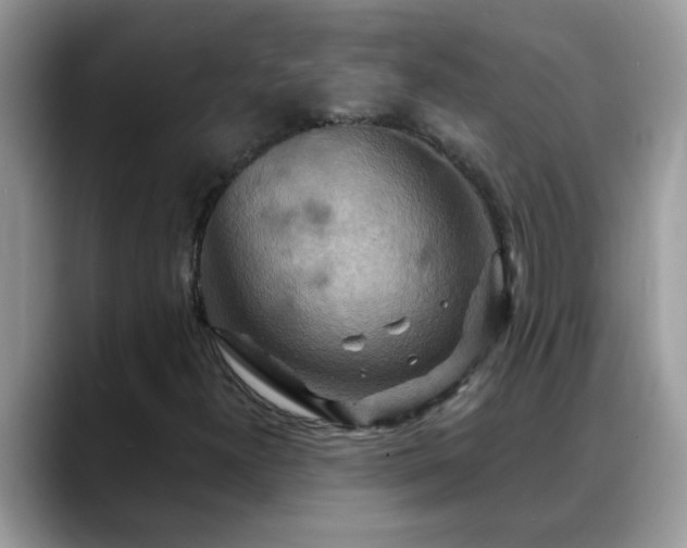 X0000088751300200706071712