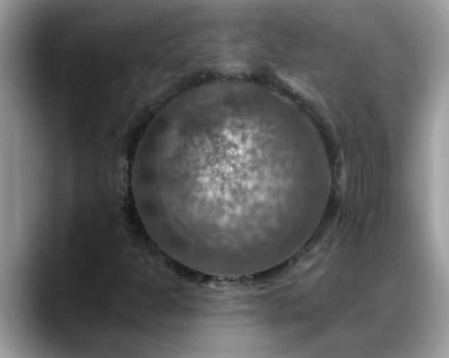 X0000088751301200706071712