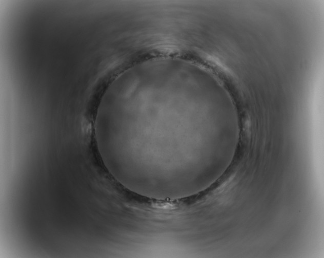 X0000088751302200706071712