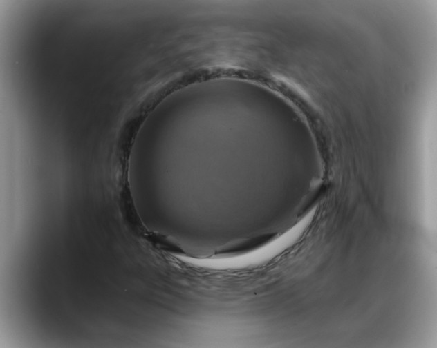 X0000088751303200706071712