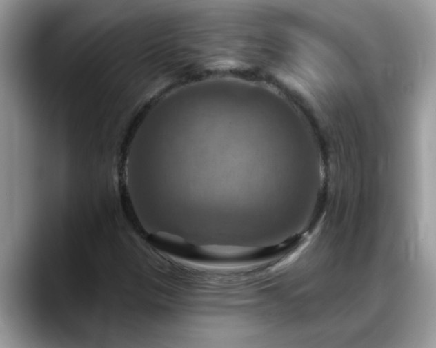 X0000088751305200706071712