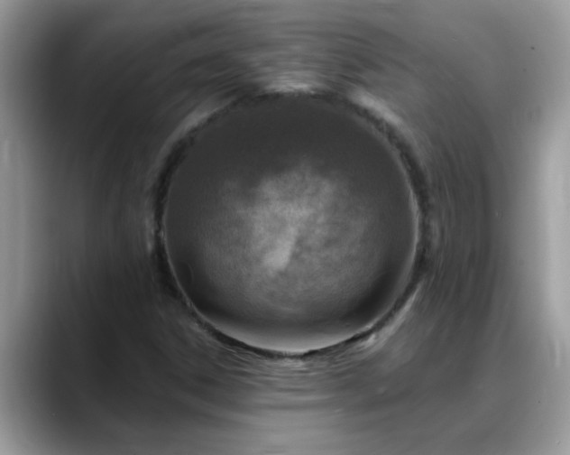 X0000088751306200706071712