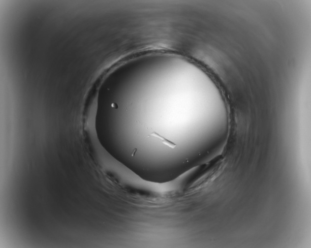 X0000088751308200706071712
