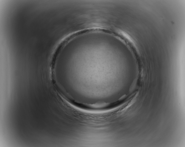 X0000088751310200706071712