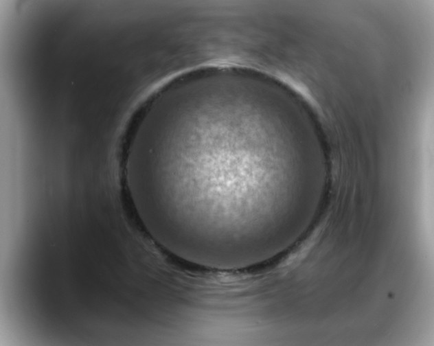X0000088751311200706071712