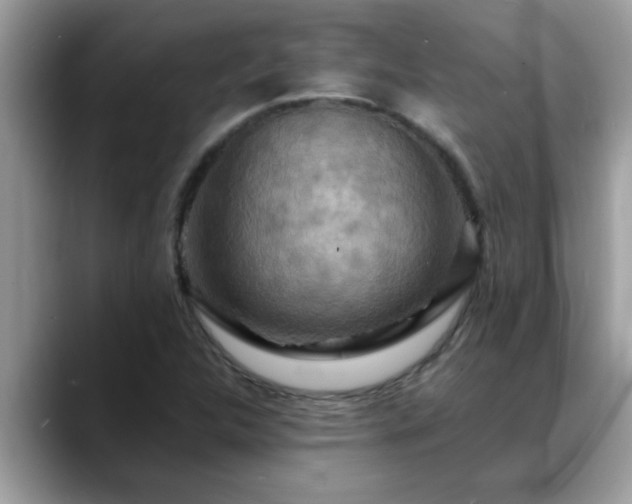 X0000088751312200706071712