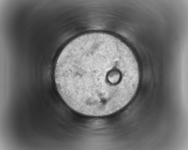 X0000088751314200706071712