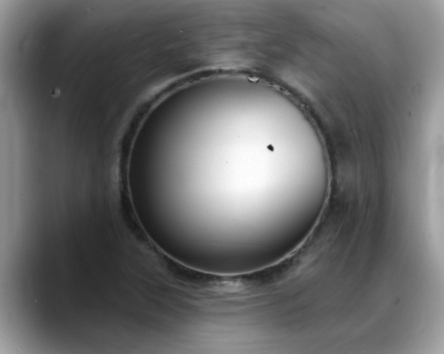 X0000088751315200706071712