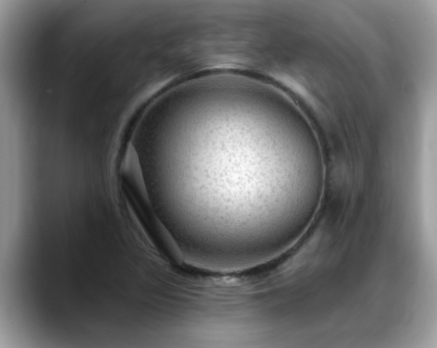 X0000088751317200706071712