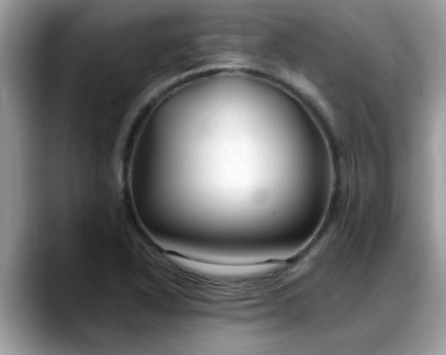 X0000088751318200706071712