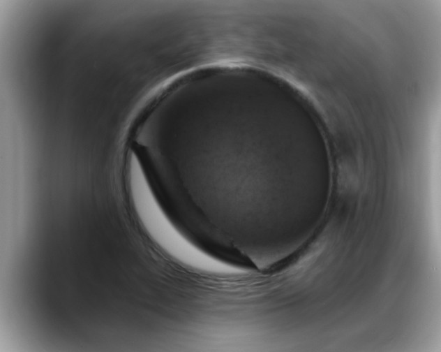 X0000088751319200706071712