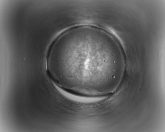 X0000088751320200706071712