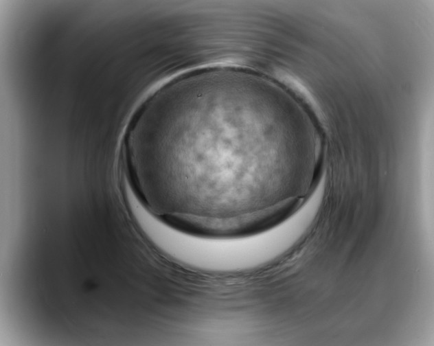 X0000088751324200706071712