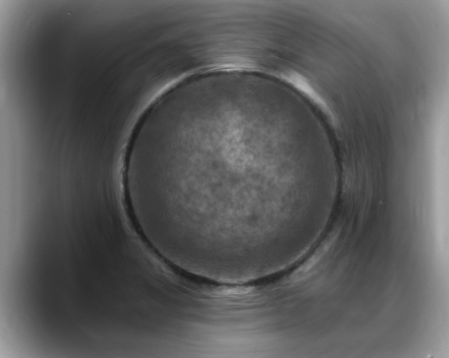 X0000088751325200706071712