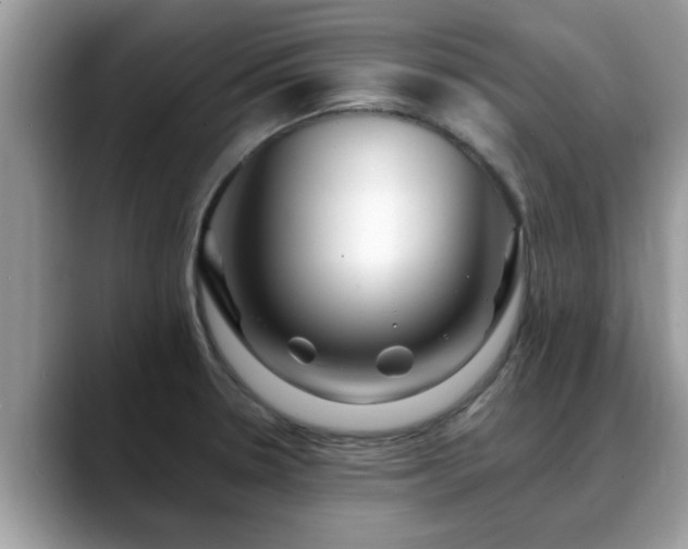 X0000088751330200706071712